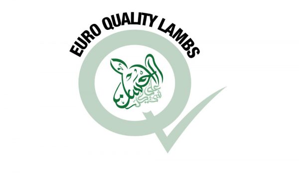 Featured image for Euro Quality Lambs Ltd